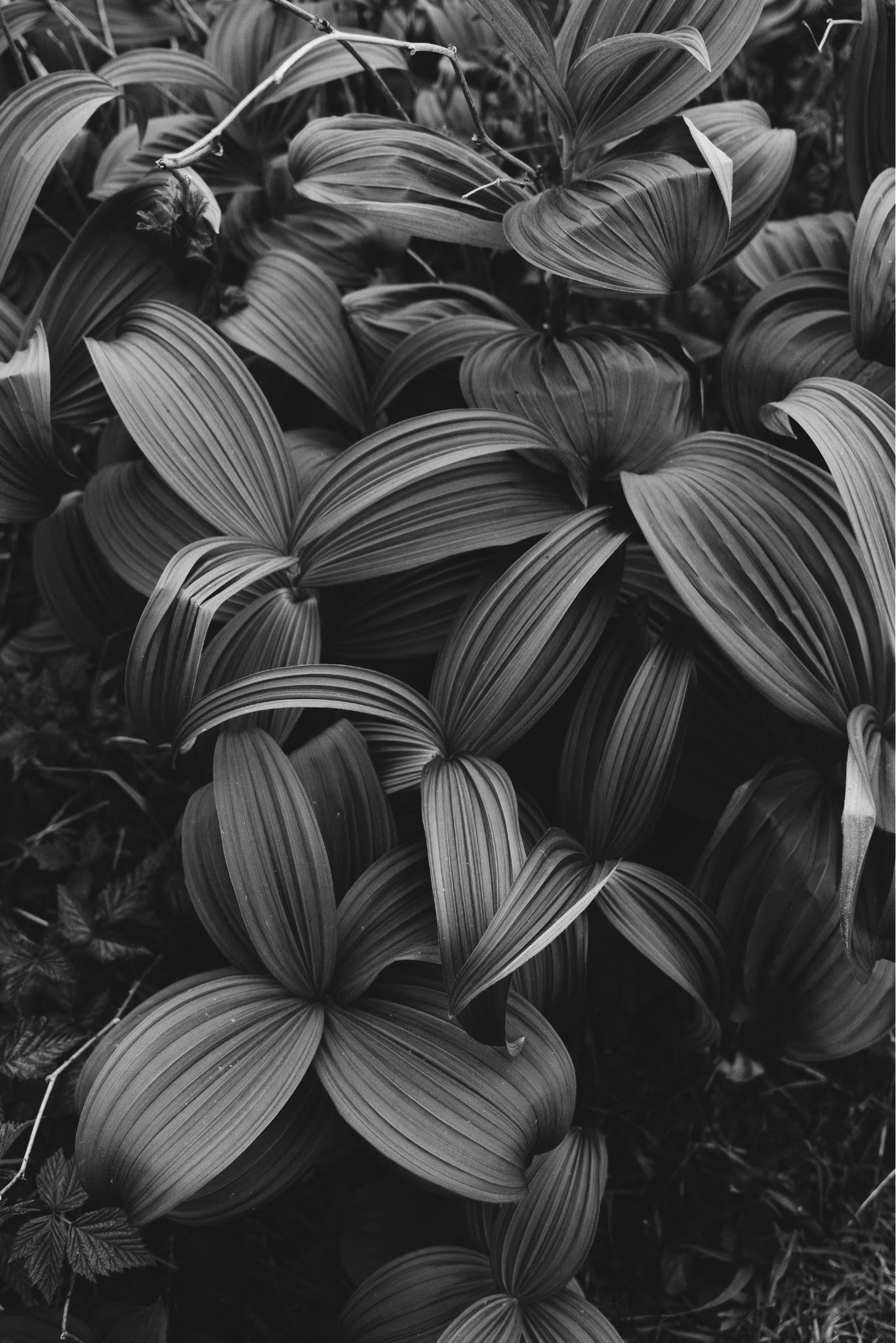 Authentic portrait detail and texture by Paige Curtis